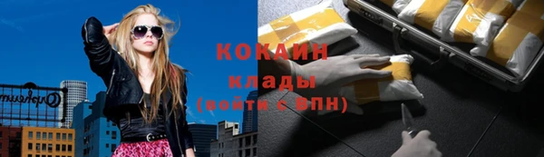 apvp Коряжма