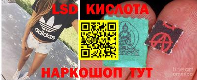 хмурый Донской