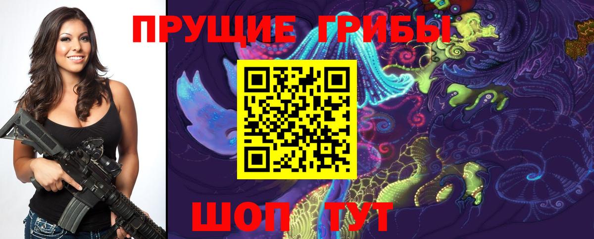 Псилоцибиновые грибы GOLDEN TEACHER Назарово